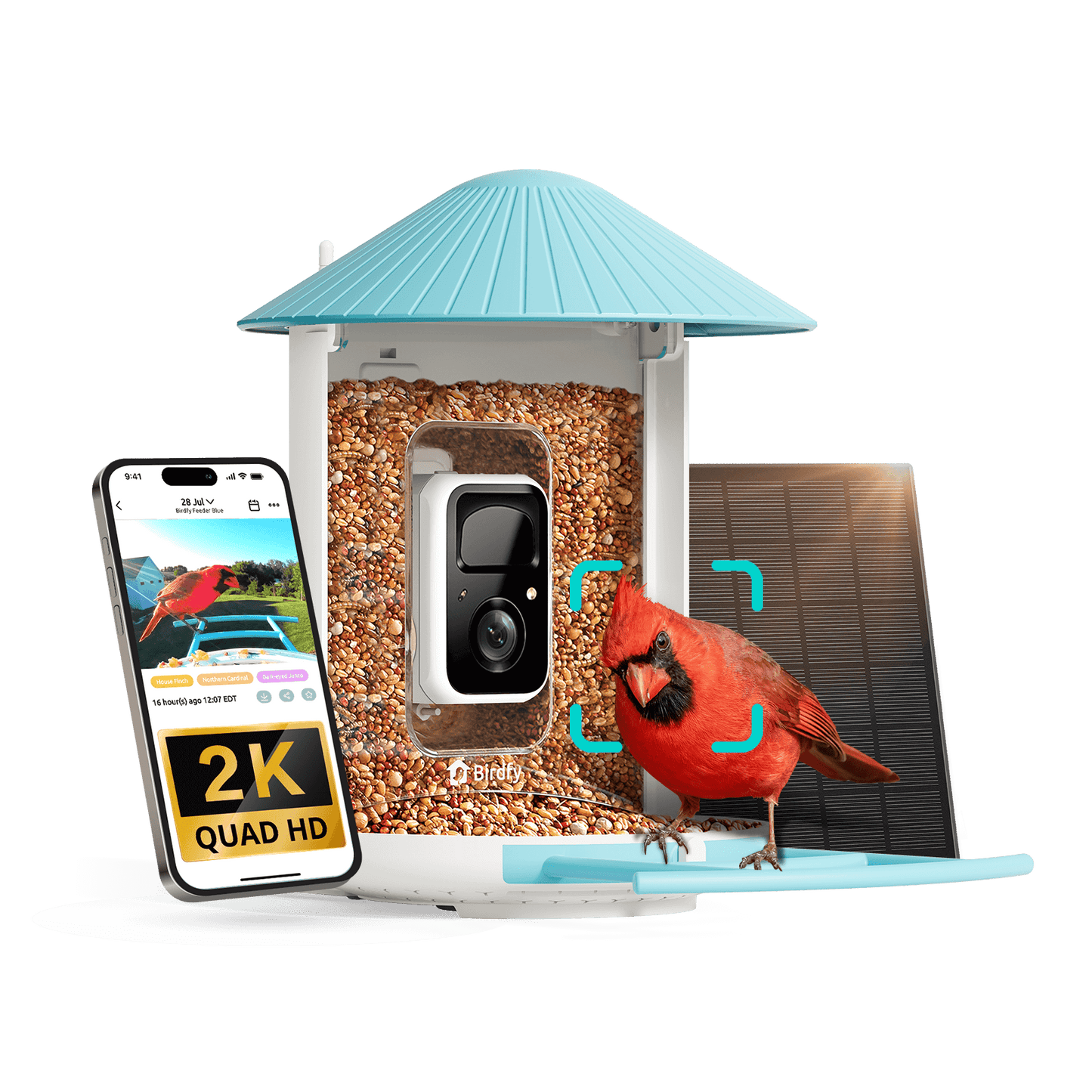 Birdfy Feeder - AI-Powered Smart Bird Feeder with Camera
