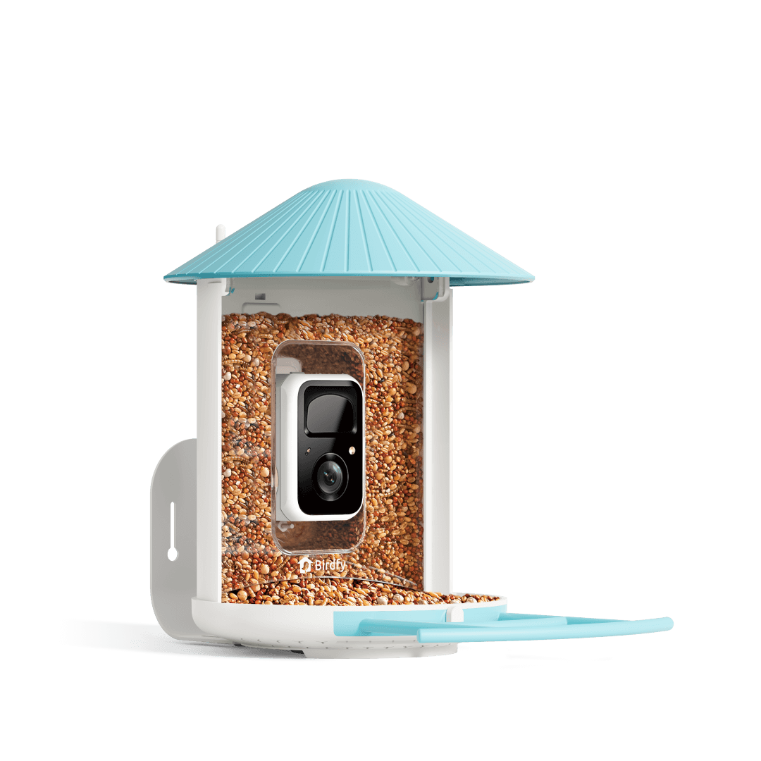 Birdfy Smart Bird Feeder Review — AI Bird Identification Camera