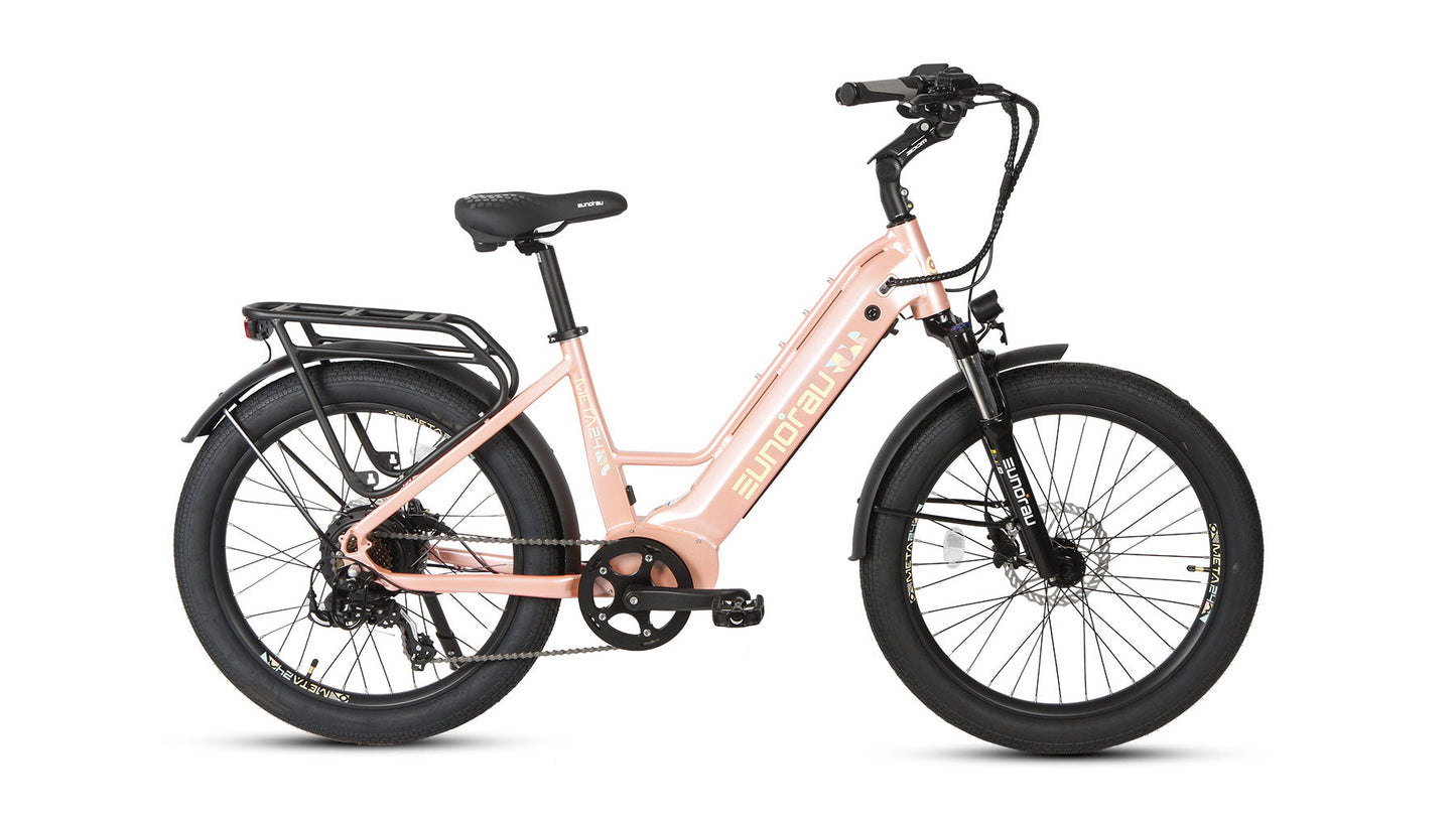 META24 1.0 City Electric Bike With 48V 500W Hub Motor 100 Mile Range Optional Second Battery