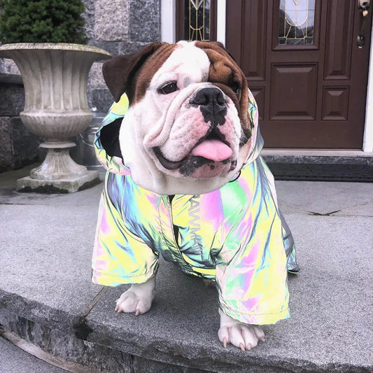 Dog Windbreaker Hoodie Reflective Clothes Swag House