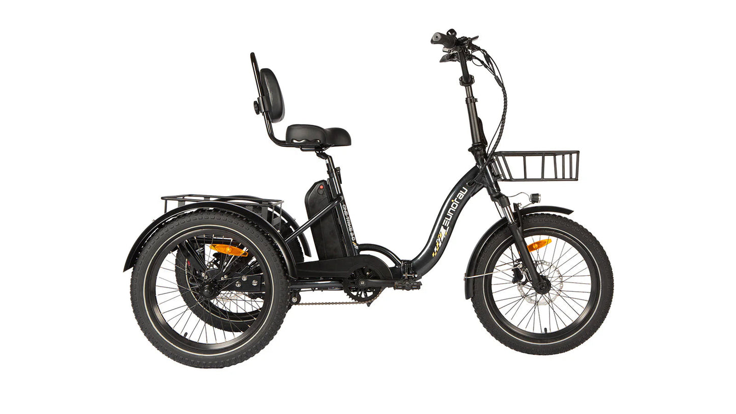 One Trike 2.0 20-Inch Rear Drive Electric Tricycle With 48V 500W Motor, 50 Mile Range, 440 Lb Payload, 20 MPH