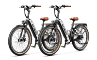 Heybike Cityrun-Combo