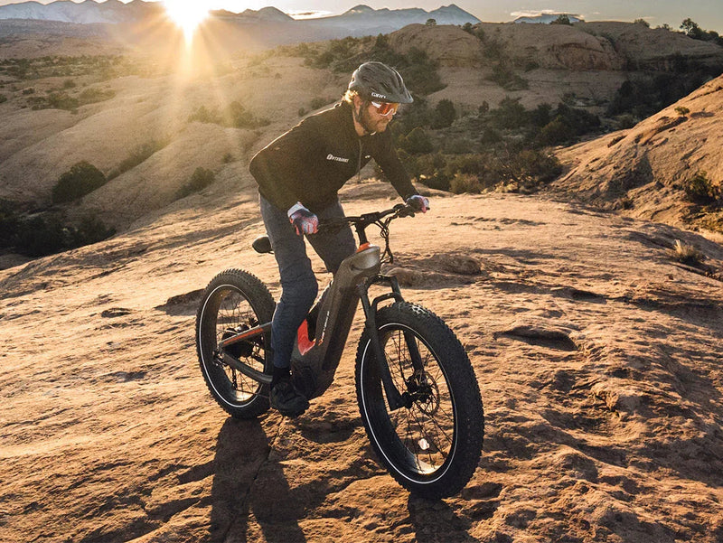 Heybike Hero