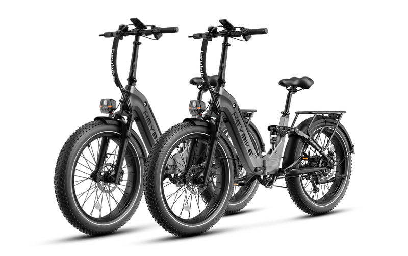 Heybike Horizon-Combo