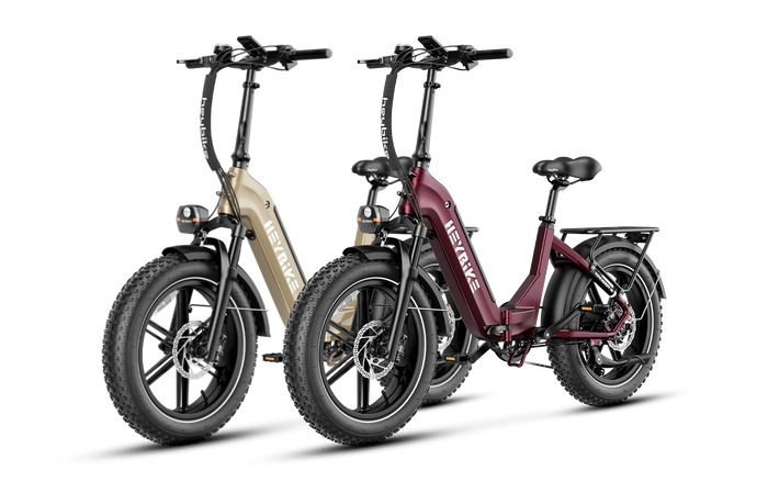 Heybike Ranger S 1000W Combo