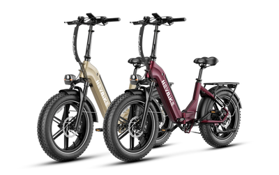 Heybike Ranger S 1000W Combo