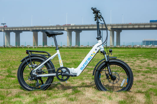 Meta20 City Electric Bike 48V 500W Hub Motor Dual Battery 100 Mile Range Optional Second Battery 15Ah 286 Lb Payload