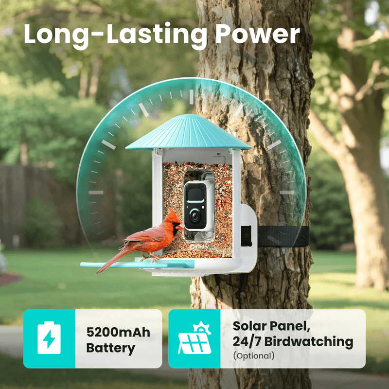Solar Support