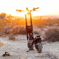Kaabo King GTR