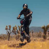 Kaabo Warrior 11 Pro+