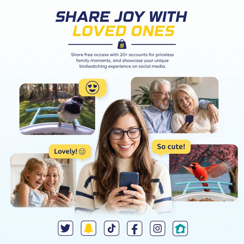 Share Access