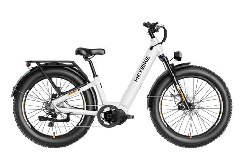 Ranger 3.0 E-Bike